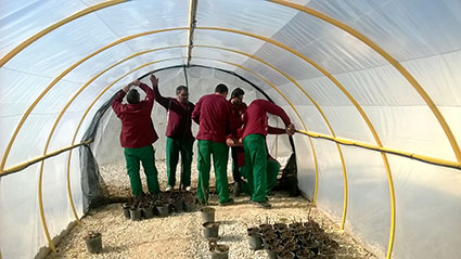 Construcción de un invernadero por parte de los alumnos-trabajadores