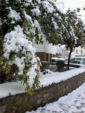 Imagen de la nevada en Estepa registrada en febrero de 2013. Foto: Remedios Camero